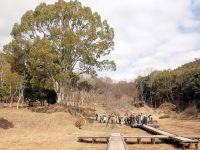 湿地の東側斜面の樹木を伐採中だったので、その様子を見ながら、「里山」のことなどについて解説しました