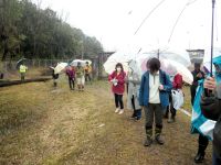 残念ながら雨模様。予想ではもう少し草が伸びて、花も咲いているはずだったのですが、春には今一歩でした