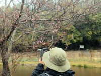 エドヒガンの花はわずかに咲きかけでした。3月は意外に気温があがらず、春も足踏み状態だったようです