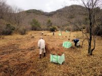 2/29に雨のために途中までになっていた湿原内の刈草の搬出作業を行いました