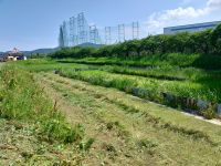 14日の保全活動の準備として、草刈りを行いました