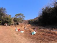 22日：湿地内部の草を収集・搬出するボランティアさん（毎年、1月中に湿地内部を全面草刈りし、すべて湿地の外に搬出しておくことで、美しい湿地の植生が維持されています。）