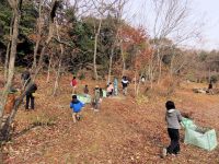 雨や強風で2度延期となった火起こし教室ですが、3度目の正直でやっと開催。まずは園内で薪集めです。