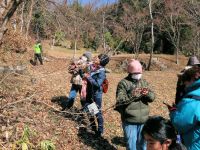 リョウブの冬芽の観察をする参加者。 まだまだ冬景色ですが、注意して観察すると、春の気配もわずかに感じられました。