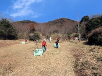 9日の準備作業で刈っておいた、湿地内部の草の運び出し作業を行いました。