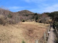 運び出し作業終了後の様子。 写真では分かりにくいですが、毎年の活動で、だんだんとササやススキが減ってきています。
