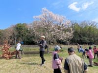 比較的低温の日が多かった3月でしたが、下旬になり、園内もようやく春模様。温室エリアのエドヒガンも満開でした