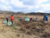 植物園ボランティアの方々と毎年行っている、ハマウツボやカワラサイコなどの希少植物の自生地の保護活動です