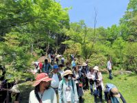 博物館友の会との共催と、地元情報紙に情報が載ったため、総勢68名という、大人数での観察会となりました