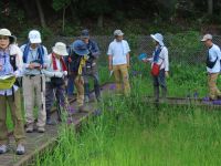 熱中症対策として、朝8時から見学を受け入れました。この日、植物園では9時には30℃を超える暑さとなりました