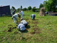 30日：湿地エリアのユウスゲ植栽地内の除草作業（ユウスゲの花茎が伸び始める前に、ユウスゲ植栽地内の除草作業をボランティアさん総出で行いました。）