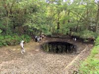 少雨のため、ほとんど干上がってしまった湿地エリアの奥池。池の中に降りて、トンボを追いかけています。
