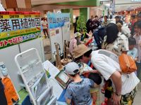 あえて、ちょっとアブないトゲトゲ植物などを展示したところ、なかなか好評でした。