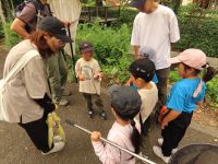 師の先生から、ハグロトンボはオスとメスで体の色が違って、オスの方がキラキラだよ、と教えてもらって、みんなで観察。