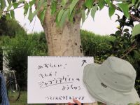 声での説明は伝わりにくいので、できる限り、スケッチブックに文字や図を書いて解説をしました。