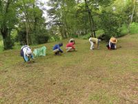 26日：外来チチコグサ類の引き抜き駆除作業（少し涼しくなり、雑草の成長も緩やかになってきたので、外来植物の駆除作業に力をいれました。 地道な作業が園内の植生・景観を維持しています。）