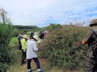 「鹿鳴草」とは、秋の七草のひとつ、ハギ類のこと。 温室エリアに植栽のミヤギノハギを観察する参加者の方々