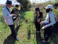 放送大学で学んでいる、科学、自然好きの方々のクラブ活動だそうです。 珍しいフナバラソウの果実の観察中