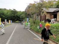 総社市主催の外来植物駆除イベント。 鬼城山ビジターセンター周辺のメリケンカルカヤなどの外来種を引き抜きました