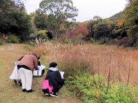 倉敷市内のお花屋さんのサークル活動だそうです。 通常の見学ののち、園内で自然の草花の色を調べられていました
