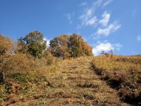 保全活動イベントで、参加者の方々に草寄せ作業をしてもらう予定の急斜面の草刈りを行いました