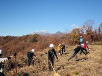 急斜面を登り切り、斜面最上部の草寄せをする参加者。数日前に冠雪したばかりの大山が青空に映えていました