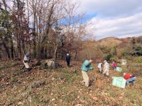 新見市の希少植物が集中して生育する場所の保全活動を植物園ボランティア、地元自然保護団体の方々と実施しました