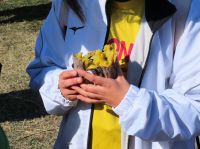 今回の楽しむ会の最後は、なんと焼きイモで締め！160回目の節目にふさわしく、盛り上がった楽しむ会になりました。