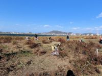 最初は10月に予定していた活動ですが、雨で2度も延期となりました。今回は3度目の正直で、晴天に恵まれました。
