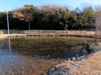 23日：今季初、全面凍結した温室エリアの池