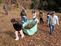 たき火をするため、まずは園内の雑木林内に落ちている枯枝などを参加者全員で拾い集めました。