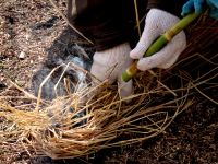 自分で作った火打ち金で作った火種を、乾いた草にくるみ、セイタカヨシの茎の火吹き棒で吹いて、炎にします。