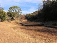 31日：「火起こし＆たき火で里山あそび」の準備を兼ね、草刈りと刈草の除去をした湿地南端（たき火の際の飛び火防止を兼ねて、湿地の南端の草刈りと刈草の除去を行いました。）