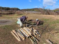 14日：とんど焼きのやぐらの材料の準備の様子（植物園のとんど焼きのやぐらは、冬仕事で出る伐採した竹や、剪定枝を有効活用して作っています。）