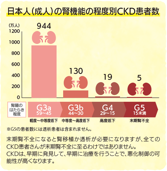 日本人（成人）の腎機能の程度別CKD患者数