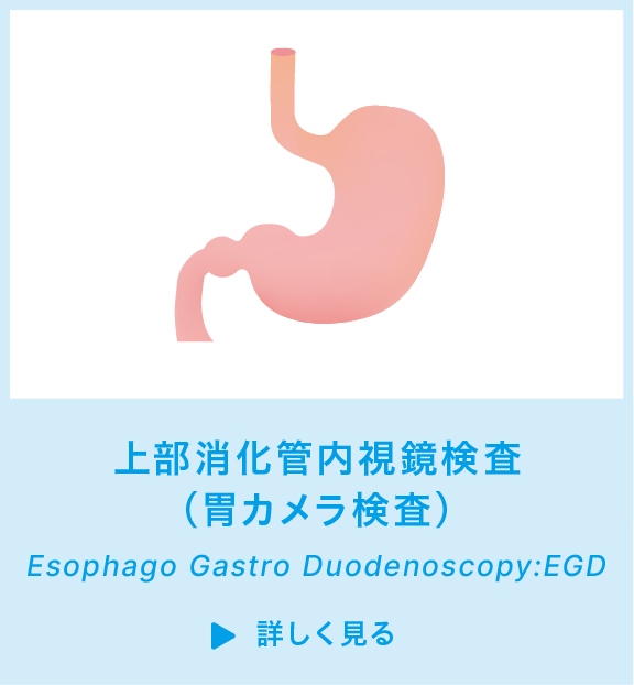 上部消化管内視鏡検査