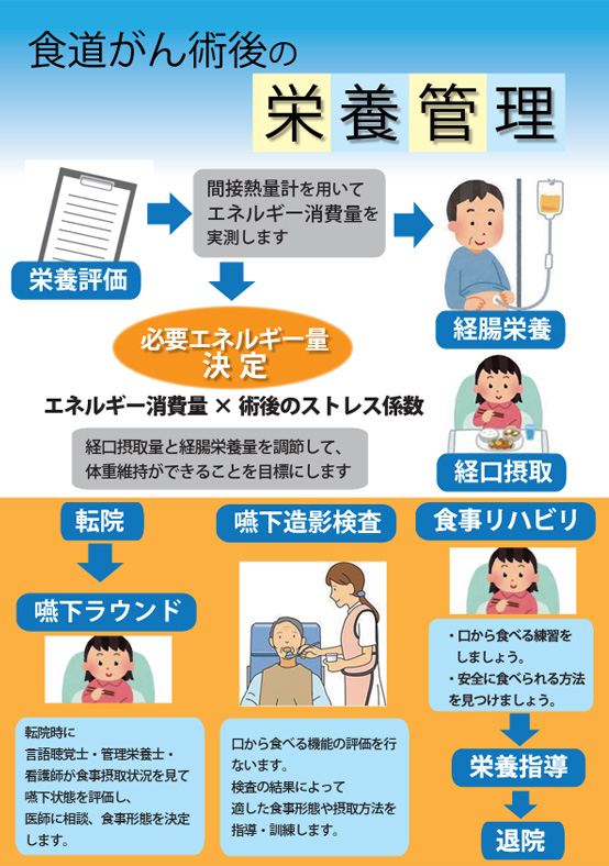 食道癌術後の栄養管理パンフレット