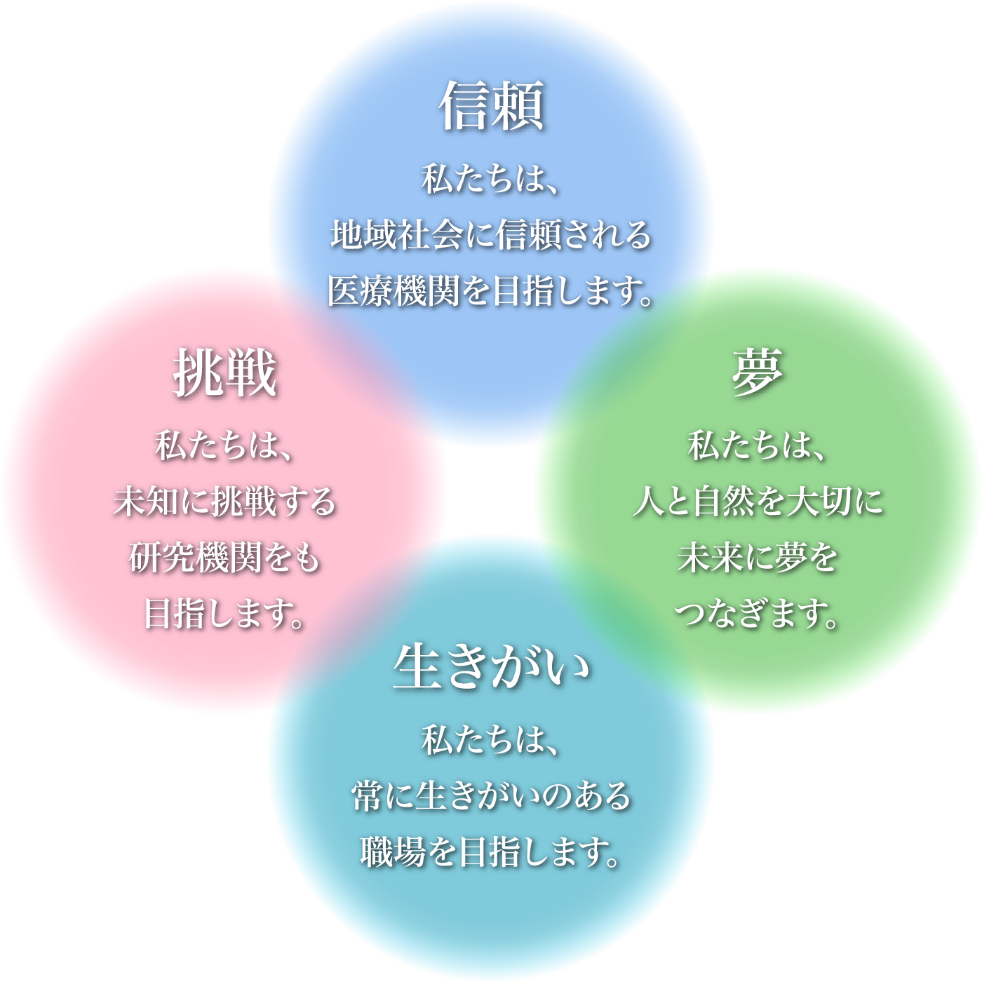 【信頼】私たちは、地域社会に信頼される医療機関を目指します。【挑戦】私たちは、未知に挑戦する研究機関をも目指します。【夢】私たちは、人と自然を大切に未来に夢をつなぎます。【生きがい】私たちは、常に生きがいのある職場を目指します。